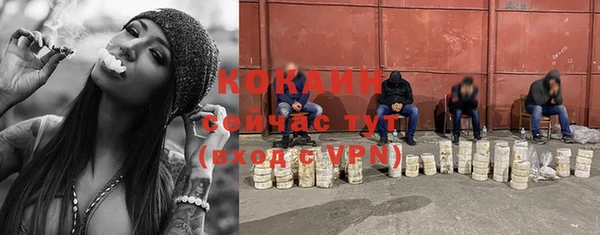 круглые Аркадак