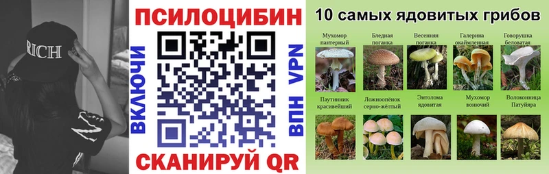 Купить где  Приволжск  Галлюциногенные грибы мицелий 
